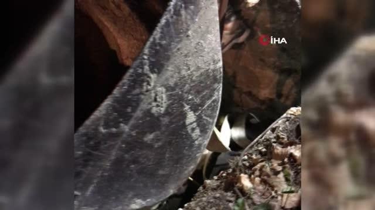 Son dakika haber: Arnavutköy'de kuyuya düşen 2 büyükbaş hayvan itfaiye ekipleri tarafından kurtarıldı