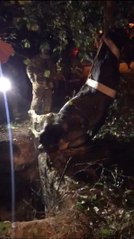 ARNAVUTKÖY'DE KAYIP İNEKLER 4 GÜN SONRA DÜŞTÜKLERİ KUYUDA BULUNDU