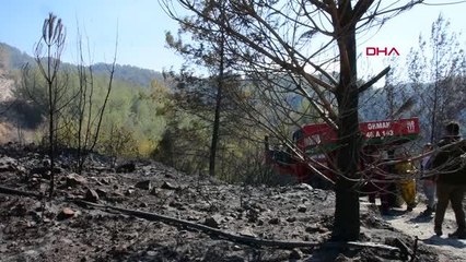 Son dakika! MUĞLA'DA ORMAN YANGINI