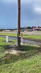 Un avion percute un panneau publicitaire et se crashe sur une route (Texas)