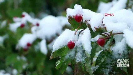 Erzurum, Ardahan ve Rize'ye kar yağdı