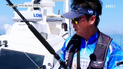 바닷가 사람들 - 바다의 최강 폭군! 상어잡이 1부_#002