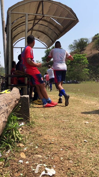 Man Smashes Hornets Nest During Soccer Warm Up