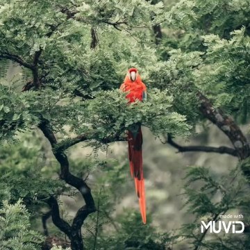 EQULiBIRIUM MINIMAL DNB MIX 2021