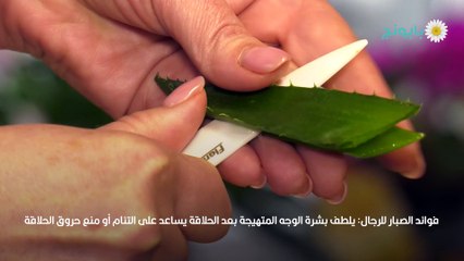 فوائد الصبار للرجال