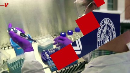 FDA Official Claims Updated Data May Support Booster Approval for Everyone Aged 18 Plus