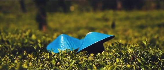 Wonderful Indonesian Holiday Destiny