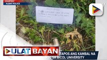 Pro 5,nakaalerto matapos ang kambal na pagsabog sa Bicol University