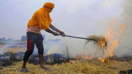 DIU video: Farm fire alert in Punjab and nearby areas