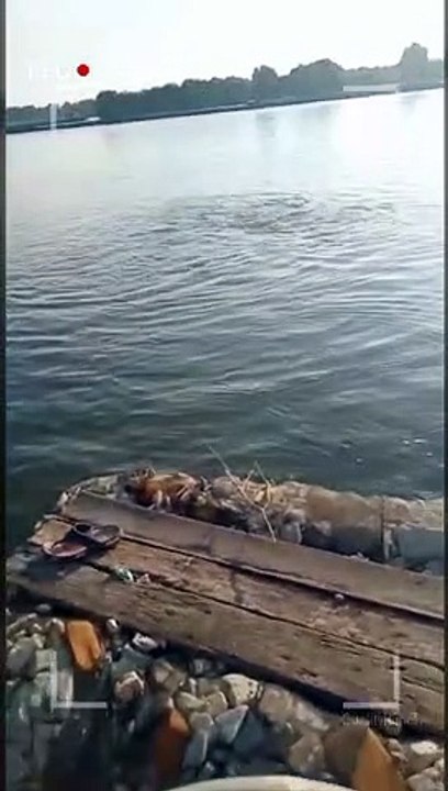 Kejadian lucu saat mancing