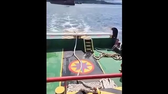 On appelle ça le coup de la corde à linge... Douloureux