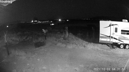 Security Cameras Capture Meteor Moving Across the Sky