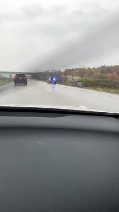 Police Escort Moose Down Highway