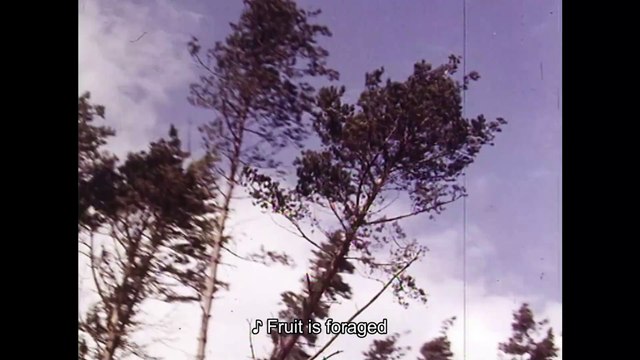 Climate crisis film ‘Living Proof – A Climate Story’ on tour around Scotland from October