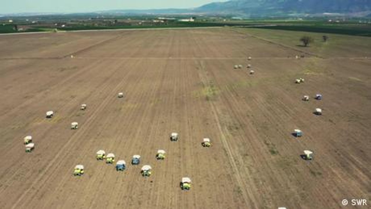 Italien: Landwirtschaft am Scheideweg