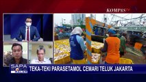 Teluk Jakarta Terkontaminasi Paracetamol, Dari Mana Asal-usulnya?