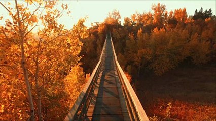 Virginia Parks Where You Can Catch the Best Fall Foliage