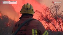 شاهد | حرائق غابات دمرت آلاف الهكتارات في الأرجنتين
