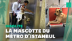 À Istanbul, ce chien errant est la star des transports en commun