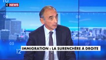Eric Zemmour : il faut que «les dépenses de solidarité nationale soient restreints aux Français»