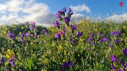 intro-logo-15-min-20210926-005824