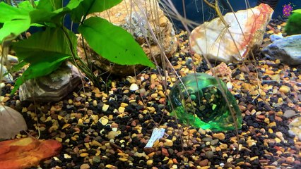 intro-logo-15-min-20210926-004102