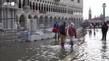 Venezia, il Mose non si alza e la Basilica San Marco va sott'acqua