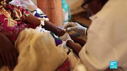 Le rapport Mbembe appelle à reconnaître "les racines africaines de la France"