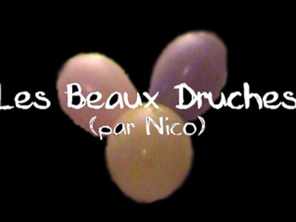Les Beaux Druches