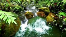 Music Therapy-Natural Sounds The sound of running water - helps to relax and fall asleep easily.