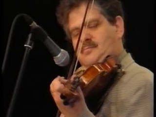 "Wild Cat" Eddie Lang and Joe Venuti tribute - Andy Stein