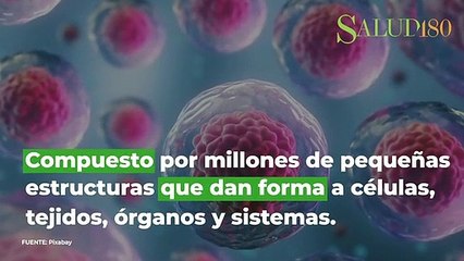 Datos "espeluznantes" del cuerpo humano que te quitarán el sueño | Salud180