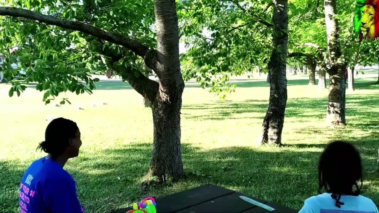 RAS-TAFARI FAMILY AT THE PARK HAILE JAH I MANIFEST THE THINGS