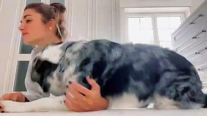 Hande Erçel’in ev halleri sosyal medyayı yıktı geçti! Milyonlarca kez izlendi...