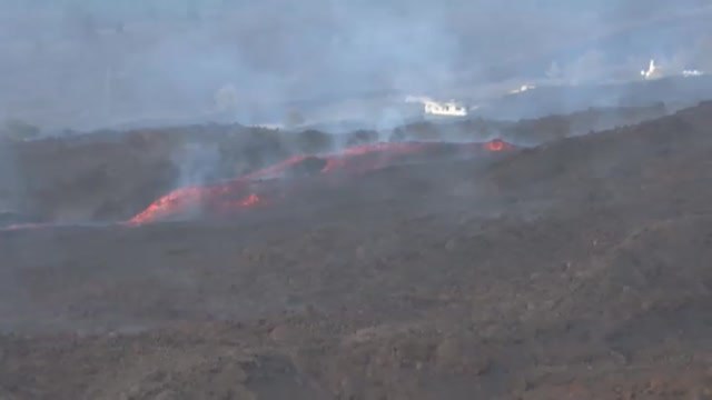 Una de las principales aerolíneas cancela todos sus vuelos para este jueves en La Palma