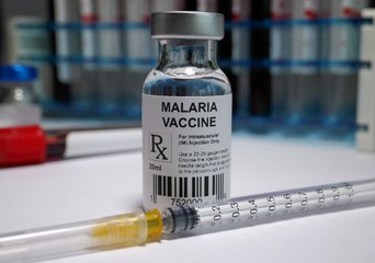 WHO Approves First-Ever Malaria Vaccine