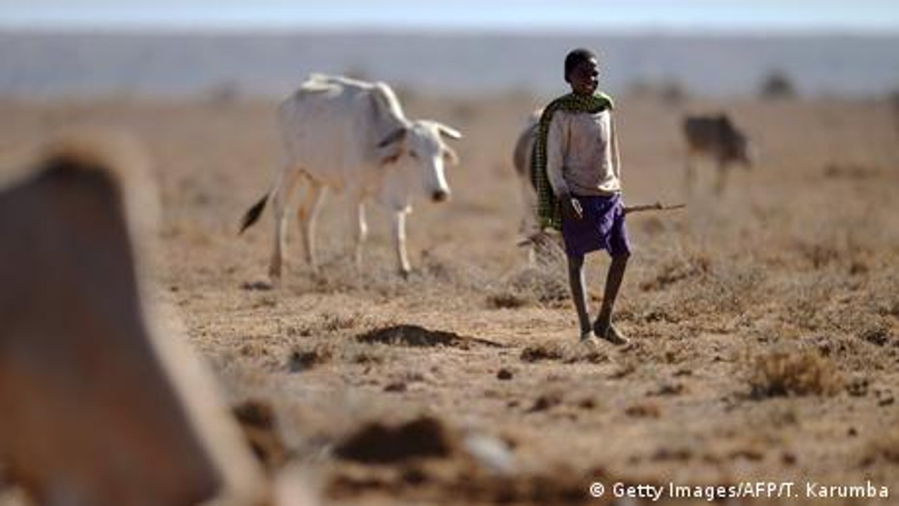 Drought puts millions of Kenyans at risk of starvation