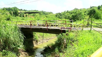 Mp: There Should Be No Wooden Bridges