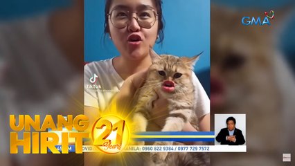 Unang Hirit: Viral TikTok pets