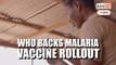 WHO backs malaria vaccine rollout for Africa's children in major breakthrough