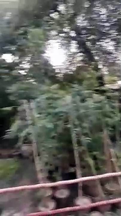 VID-20211006-WA0057