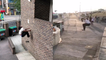 'Parkour athlete performs DEATH-DEFYING stunts throughout England'