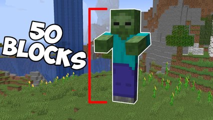 More things you didn't know about minecraft