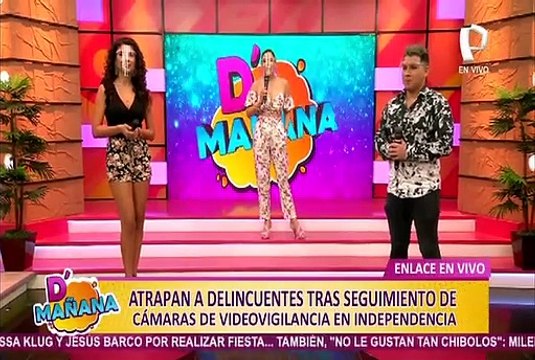 Independencia: capturan a delincuentes gracias a cámaras de videovigilancia