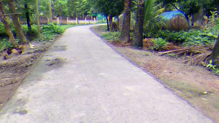 Uttar Belat Jame Masjid !! উত্তর বেলাট জামে মসজিদ