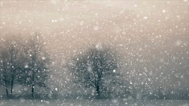 Météo des prochaines semaines en Belgique: voici quand on attend les premiers flocons de neige!