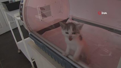 OEDAŞ'tan Tepebaşı Doğal Yaşam Merkezi'ne ekipman desteği