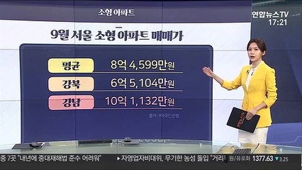 [그래픽뉴스] 소형 아파트