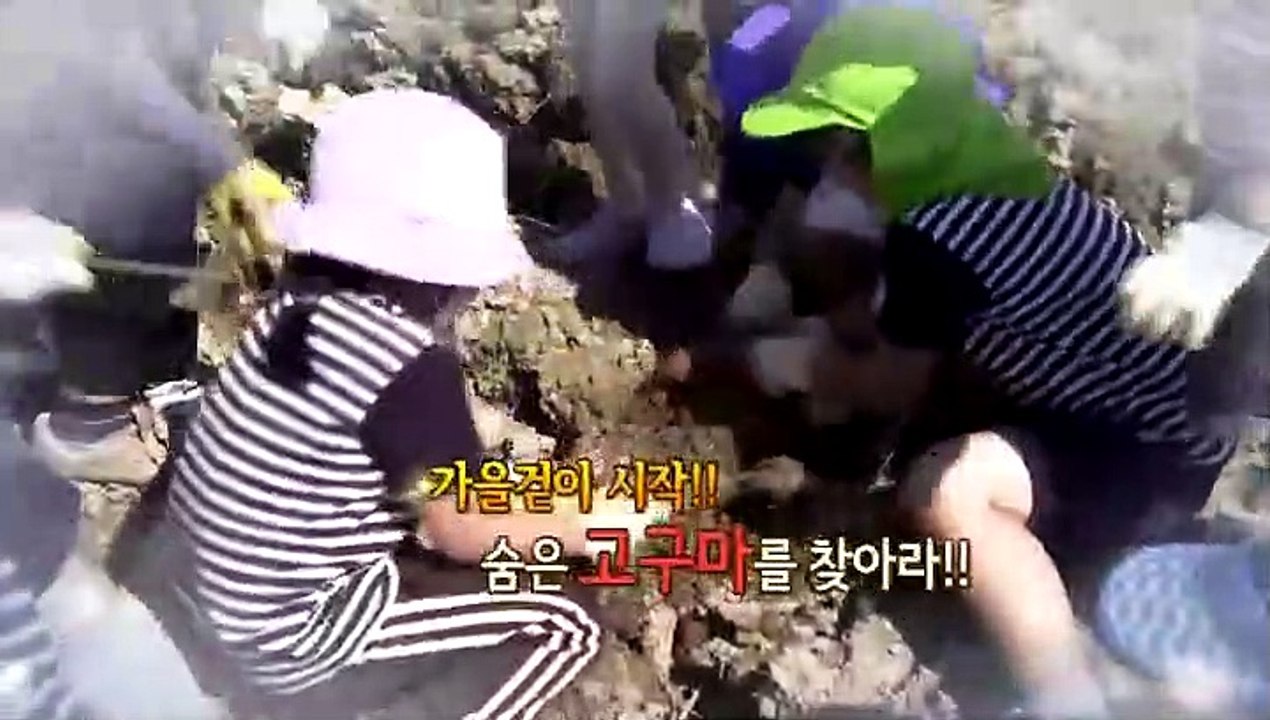 [영상구성] 가을로 가요