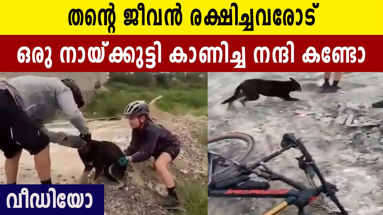തന്റെ ജീവൻ രക്ഷിച്ചവരോട് ഒരു നയ്ക്കുട്ടി കാണിക്കുന്ന നന്ദിപ്രകടനം കണ്ടോ
